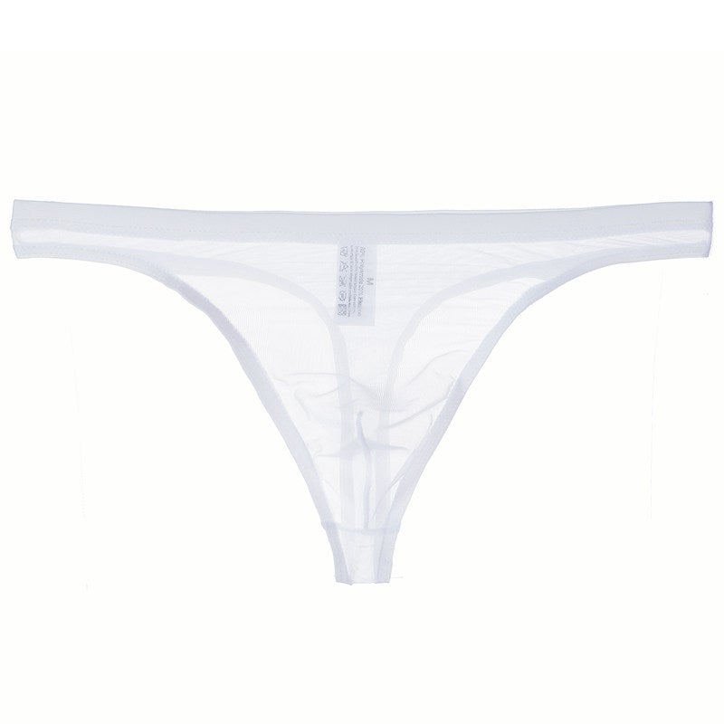 Men's Sexy Silk Mesh Bikini Thin Thong
