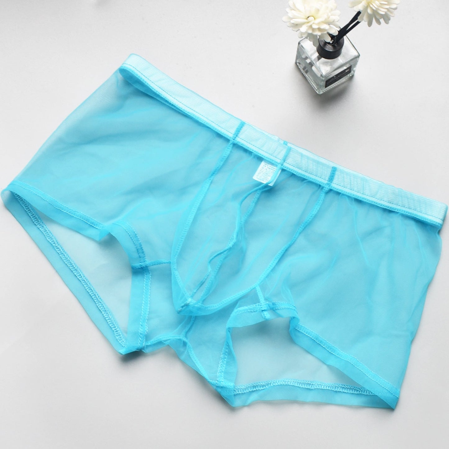 Men's Mesh See-through Boxer Briefs