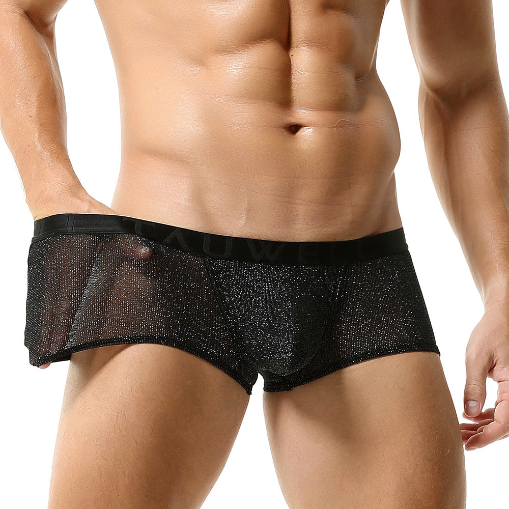 Men's Sexy Fashion Mesh Breathable and Comfortable Boxer Briefs