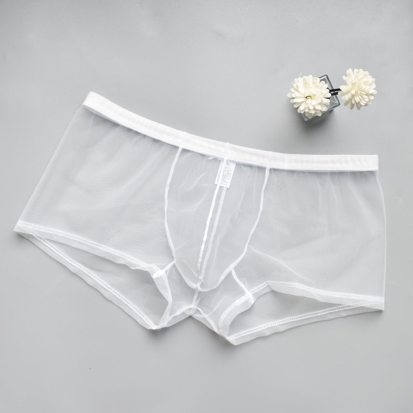 Men's Mesh See-through Boxer Briefs