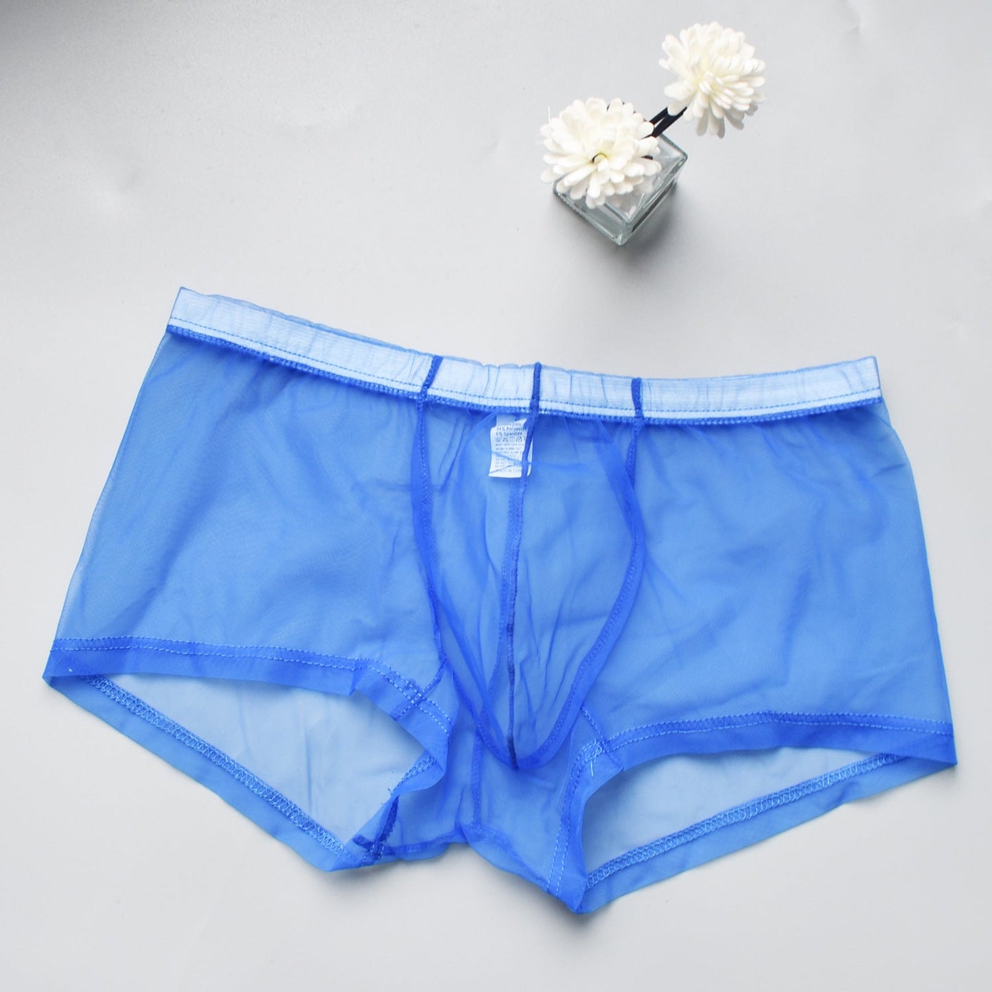 Men's Mesh See-through Boxer Briefs