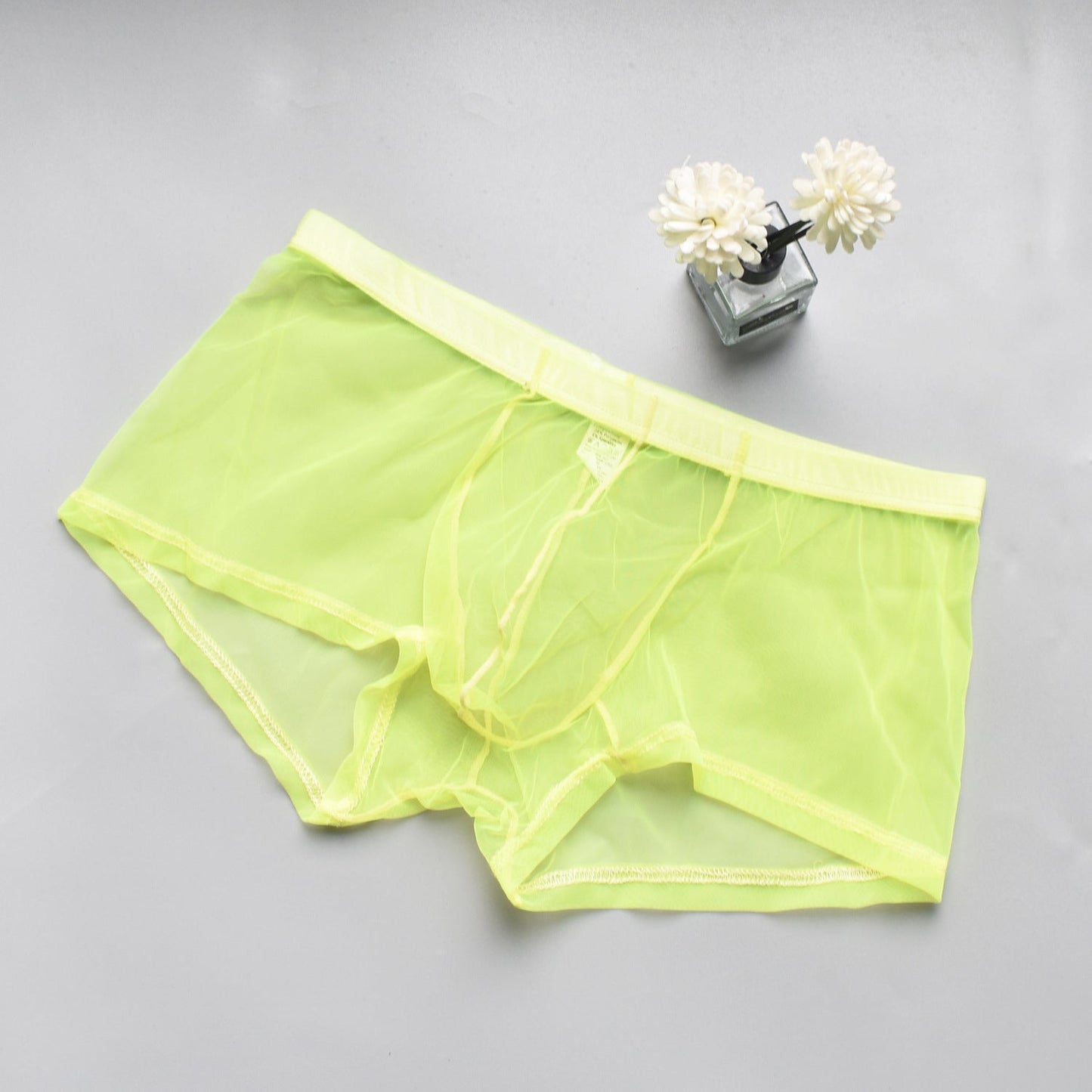 Men's Mesh See-through Boxer Briefs