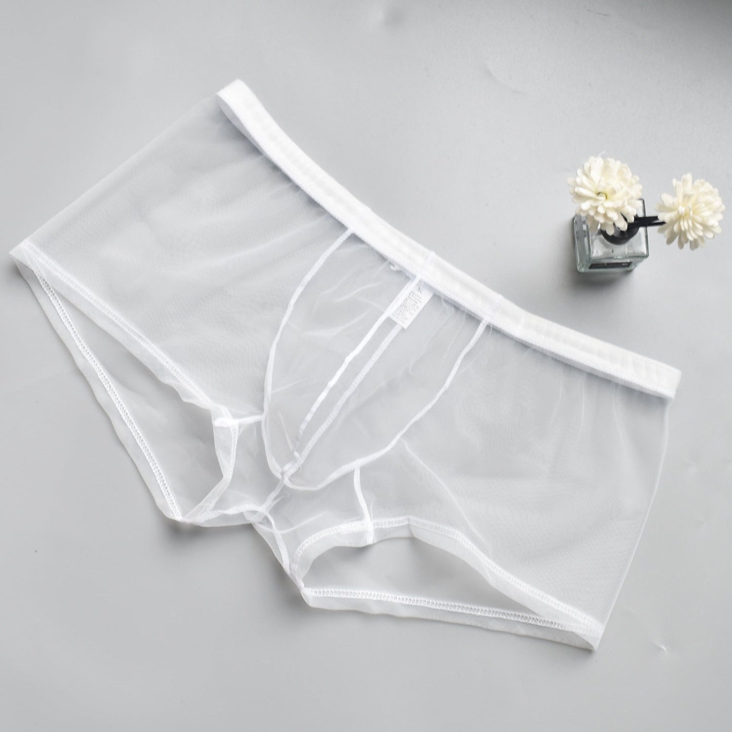 Men's Mesh See-through Boxer Briefs