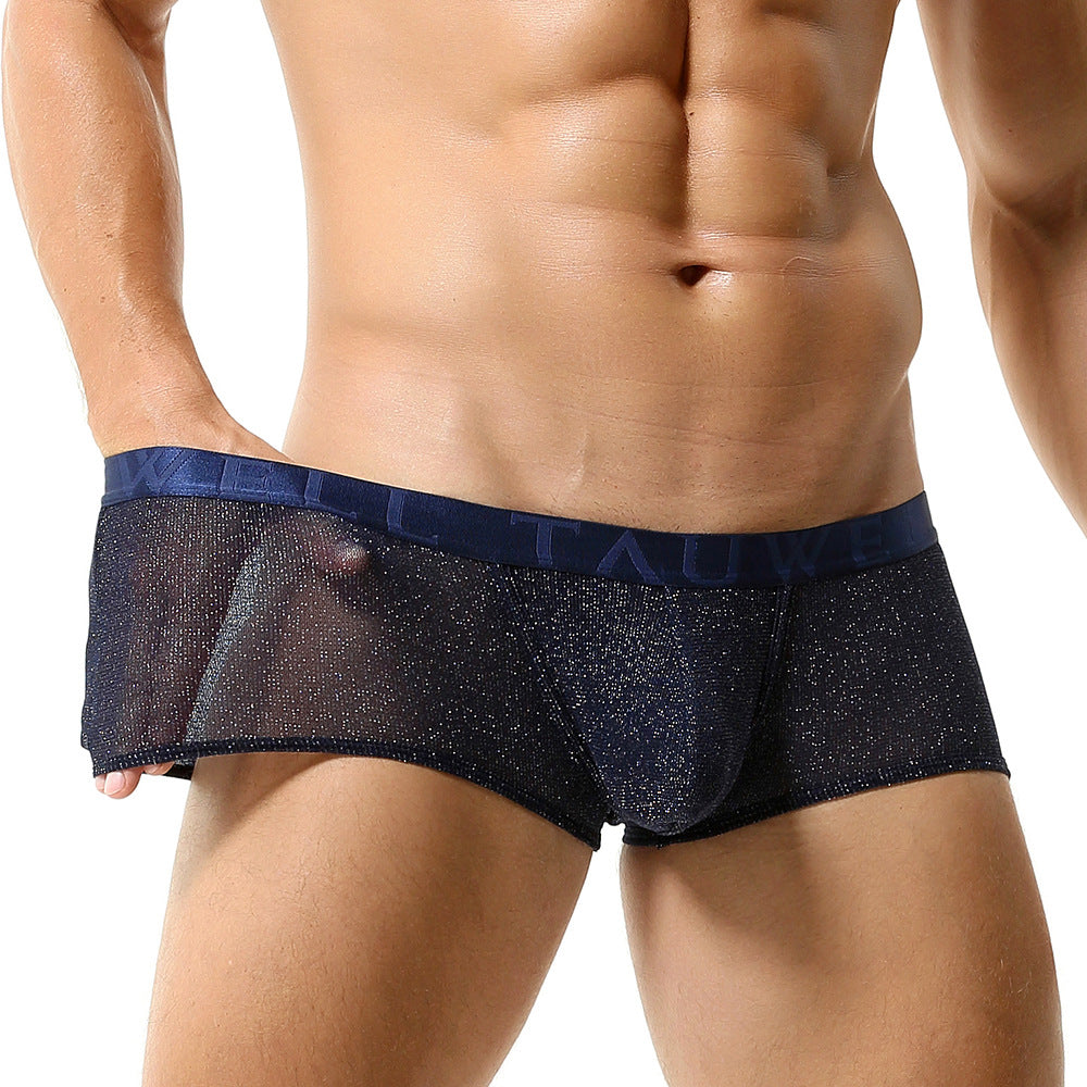 Men's Sexy Fashion Mesh Breathable and Comfortable Boxer Briefs
