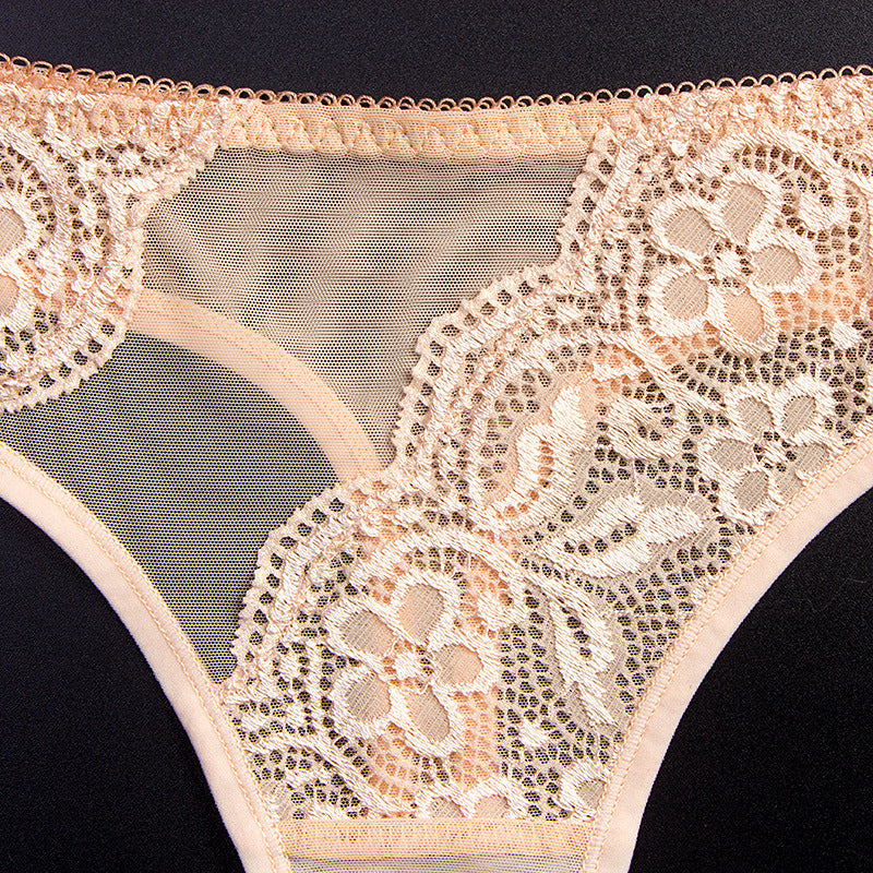 Men's Sheer Lace Mesh Low Rise Thong