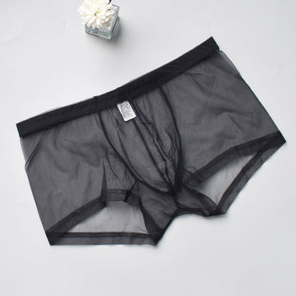 Men's Mesh See-through Boxer Briefs