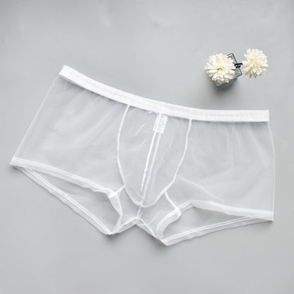 Men's Mesh See-through Boxer Briefs