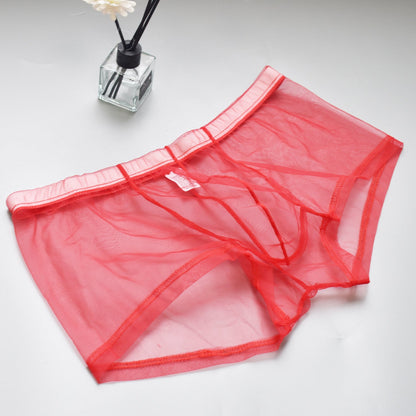 Men's Mesh See-through Boxer Briefs