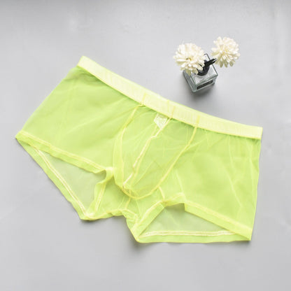 Men's Mesh See-through Boxer Briefs