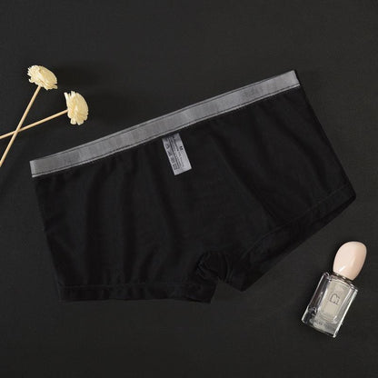 Men's Mesh Transparent Sexy Boxer Briefs