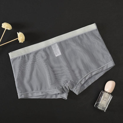 Men's Mesh Transparent Sexy Boxer Briefs