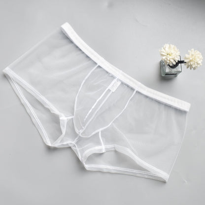 Men's Mesh See-through Boxer Briefs